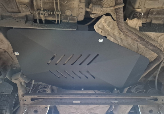 Protezione di acciaio per il serbatoio Dacia Lodgy
